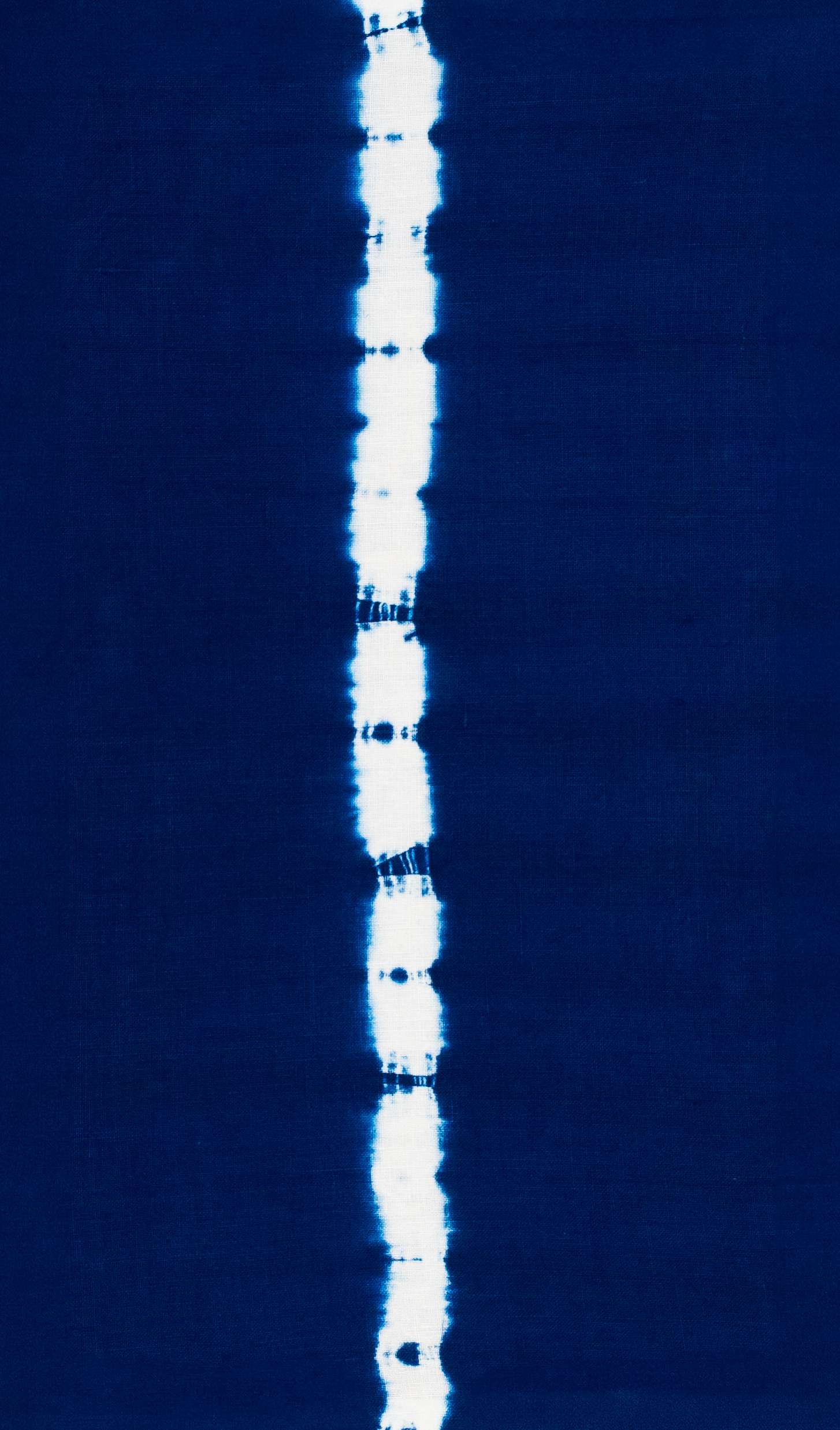 Blue Spine